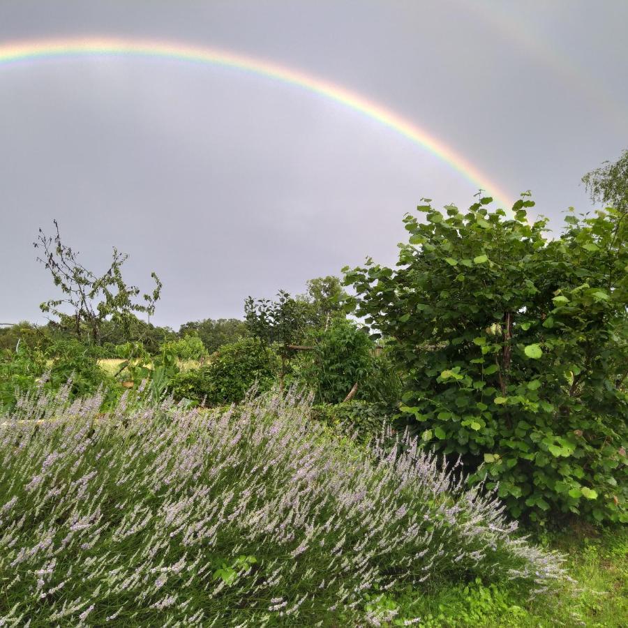 La Mezzabulle Lägenhet Chapaize Exteriör bild
